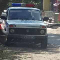 «Я паркуюсь, как осел»