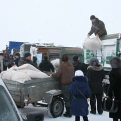 Сено, отруби, кролики, наконец
