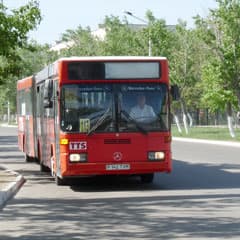 № 113: спешка и терпение