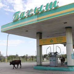 К банкротству - слаженным дуэтом