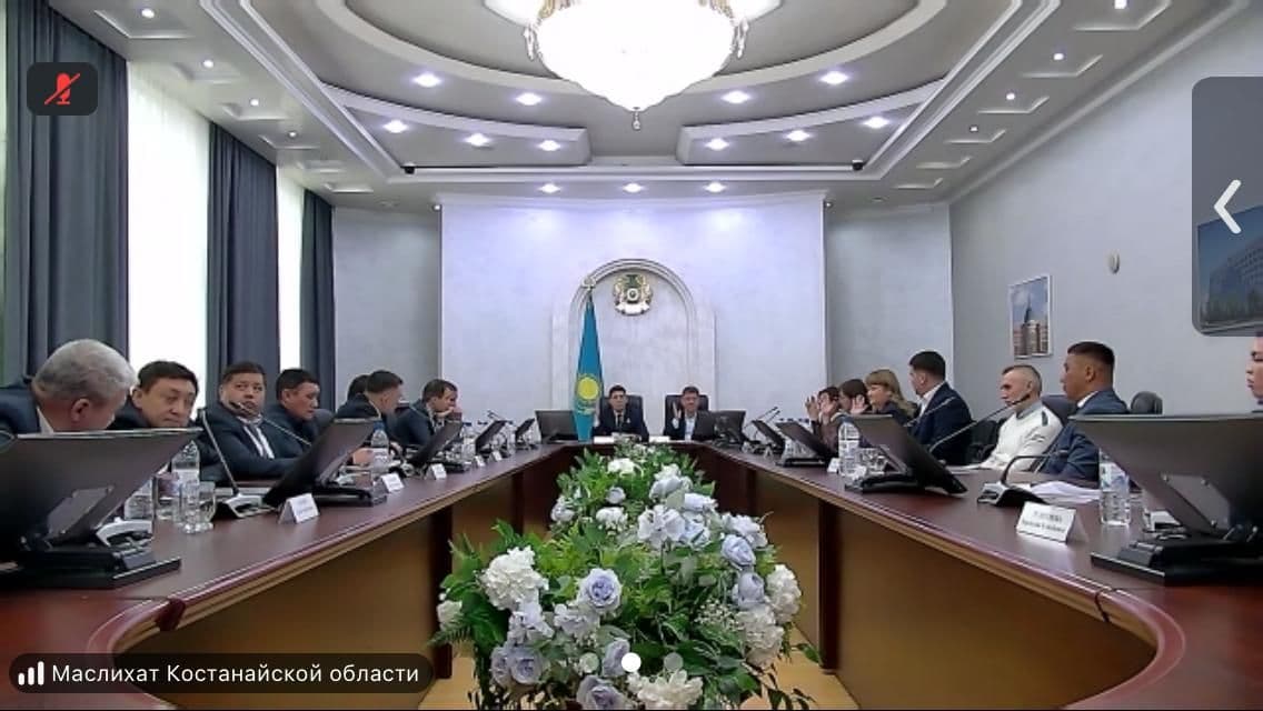ЦИК назначила дату досрочных выборов в маслихаты Казахстана