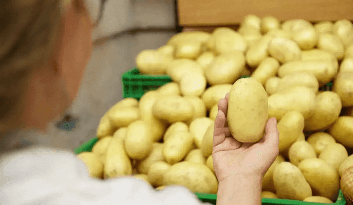 За неделю в Казахстане снизились цены на лук, морковь и картофель