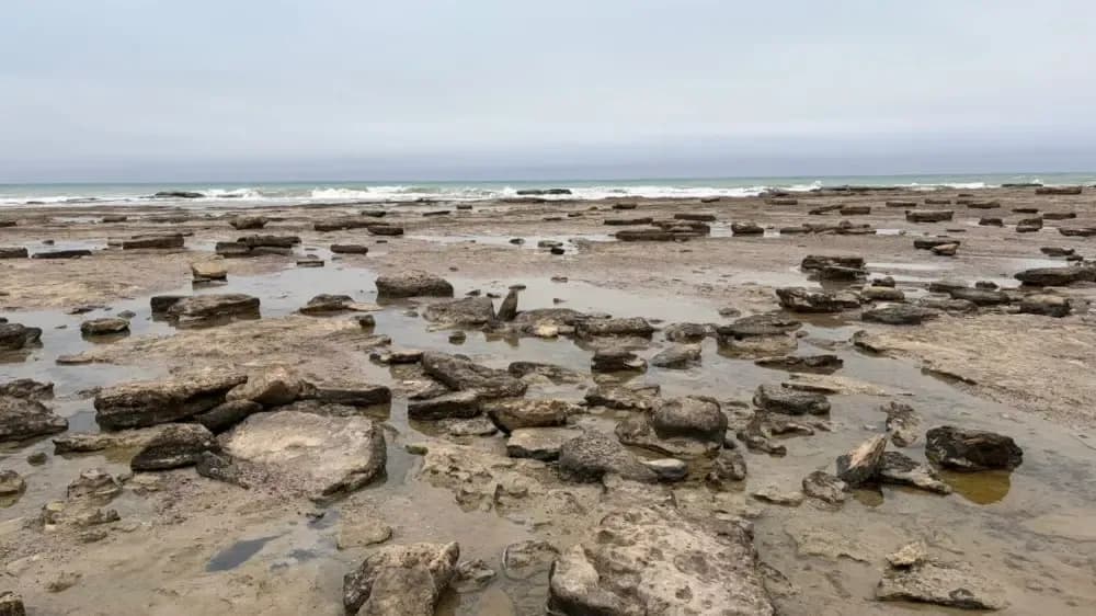 Процесс обмеления Каспийского моря назвали необратимым
