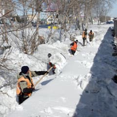 На паводок набросить поводок