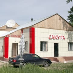 Япония по-костанайски