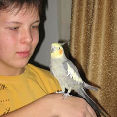 Почти человек