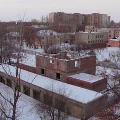 Остаются на зимовку
