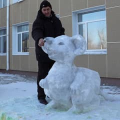 Снежные мыши, Емели и Василисы