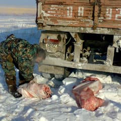 Охотник взял вину на себя