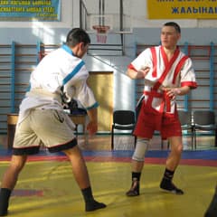 Батыры встретились на ковре