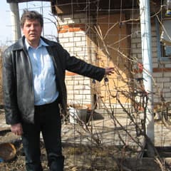 Весенний марафет на дачном участке