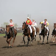 Азарт, скакуны и машины
