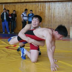Лучшие в шести видах спорта