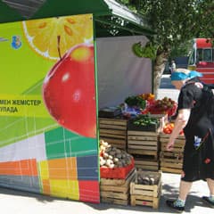 Новая крыша для помидора