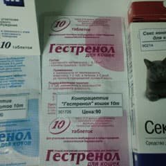 В отсутствии любви и секса
