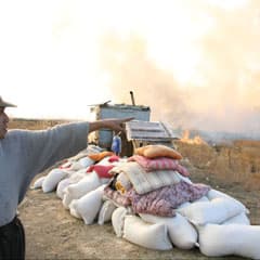 Горел камыш, дым шел в город