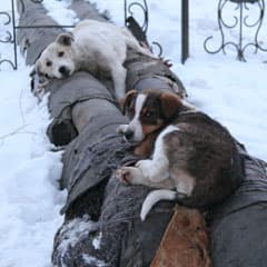 «Экономика должна быть экономной!»