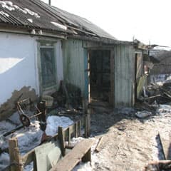 Смертельно: красный петух!