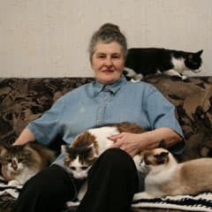 Четверо везучих котов и Валентина
