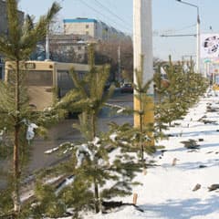 Перестарались, однако