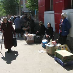 Документ для пучка редиски