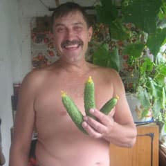Пойду на балкон, нарву огурцов