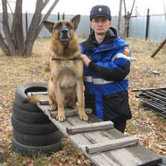 Премьер Сергей, Рэм и афалины