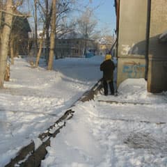 Изоляцию ободрали летом