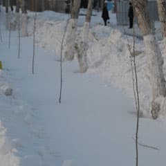 Зимняя посадка