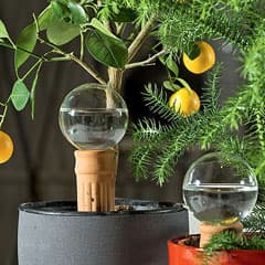 Водные процедуры для домашнего цветника