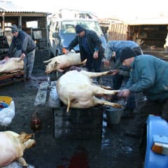 Мясу дали «вольную»