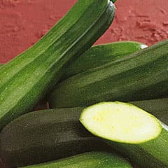 Солируют кабачки