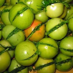 «Мировой закусон»