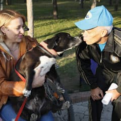 В одной большой и дружной семье