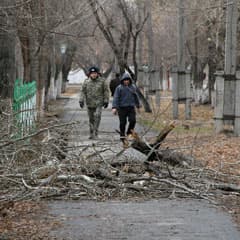 Во всем виноват циклон