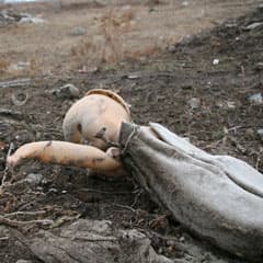 Жизнь длиною в 2 дня