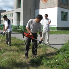 Дипломы - за репутацию