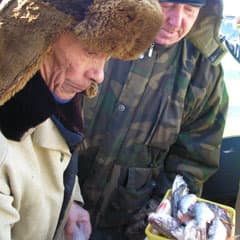 Золотая рыбка клюнула на Воробья