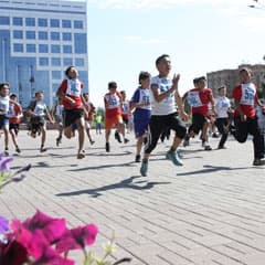 Кто поддержит погоню за массовостью?