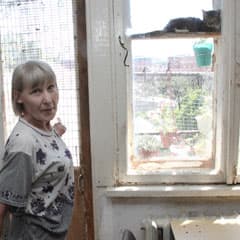 По соседству с кошками