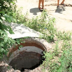 Под кустом, недалеко от школы