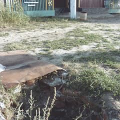 В поселках ловушек еще больше