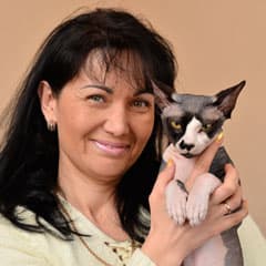 Теплый и уютный кошкин дом