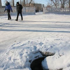 На тропинке возле школы