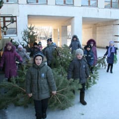 Наши елки приносят радость!