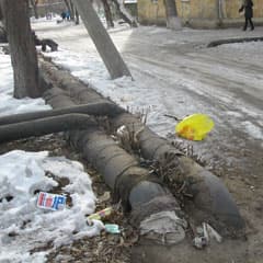 Изоляцию сорвали осенью