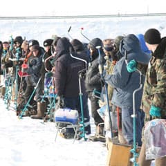 Шестьдесят рыбаков и одна рыбачка