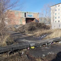 Чтобы и на КСК росли цветы