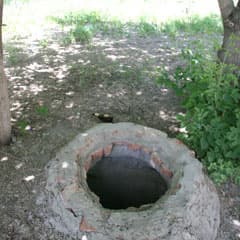 Колодцы «прячутся» в кустах