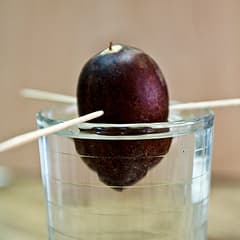 Съел, посадил, изучай и любуйся